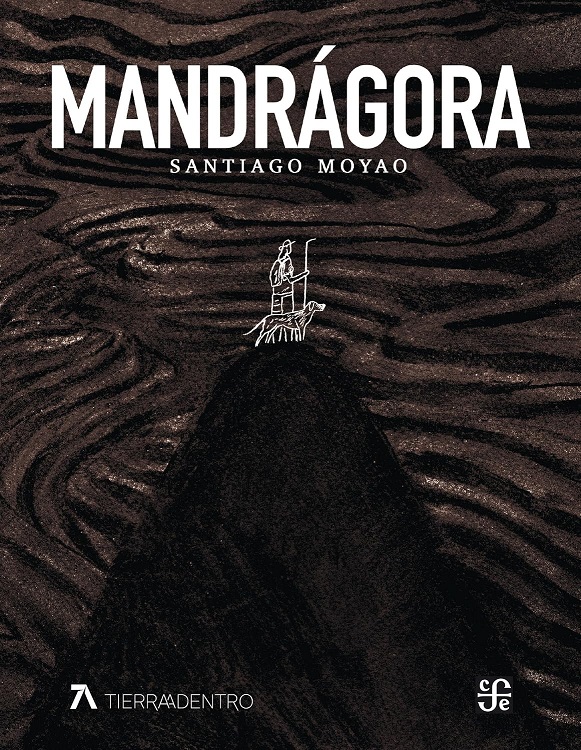 A darse vuelo con estas recomendaciones literarias del FCE